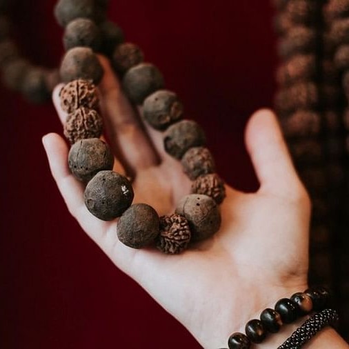 Rudraksha