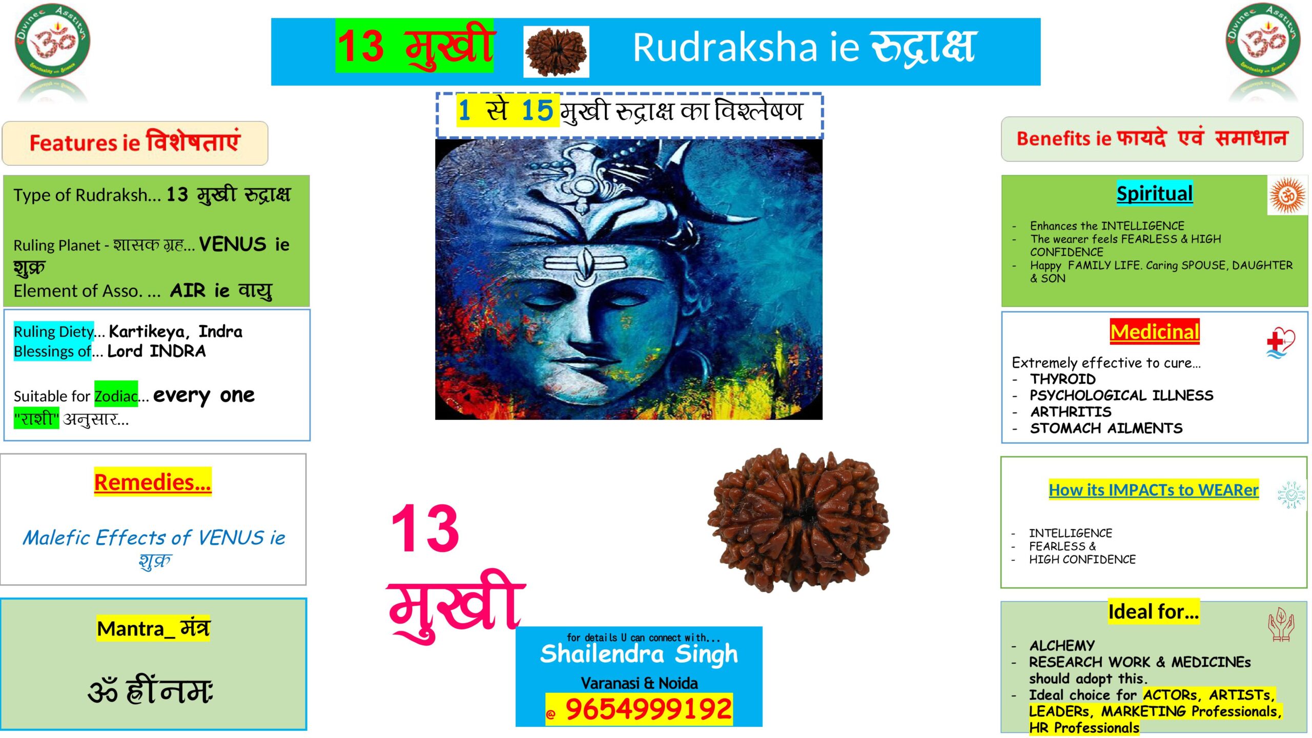 13 Mukhi
