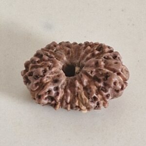 13 Mukhi (Indonesia)