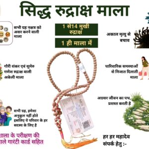 Rudraksha Siddha Mala – 1Mukhi to 14Mukhi with Gaurishankar & Ganesh Rudraksha Mala…