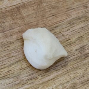 FISH Pearl ie मछमणि - L - 18.0 Ratti