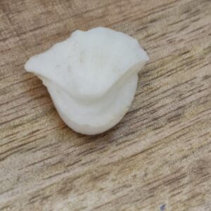 FISH Pearl ie मछमणि - L - 16.7 Ratti