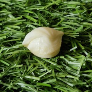 FISH Pearl ie मछमणि - L - 19.1 Ratti