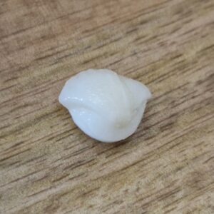 FISH Pearl ie मछमणि_S- 6.2 Ratti