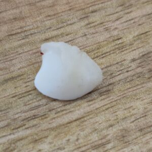 FISH Pearl ie मछमणि_S- 4.7 Ratti