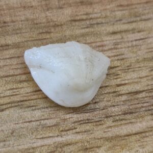 FISH Pearl ie मछमणि_S- 4.8 Ratti