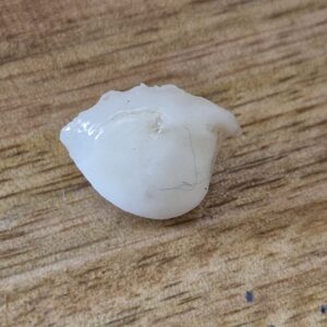 FISH Pearl ie मछमणि_S- 5.2 Ratti